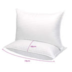 Adam Home Hotel Pillows | Bounce Back Support - Pillow